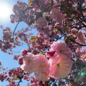 Meet your Posher, Kristin